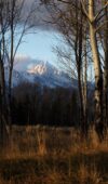 Wyoming : 4×180° – 48 Hour Film