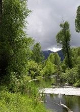 Phillips Ridge – 51 Hour Film
