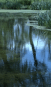 The Berkshires – 50 Hour Film